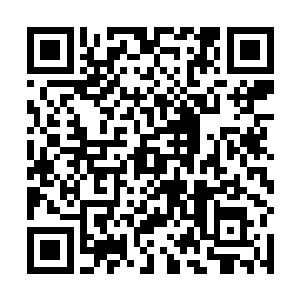这修罗之光都会加快速度流窜到他体内需要发力的地方二维码生成