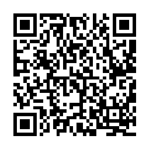 这倒不是盗天的实力有多强而是因为盗天那出神入化的盗术二维码生成