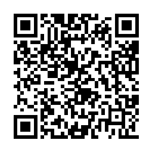 这公爷的名头极有可能会落在大伯母一家的头上二维码生成