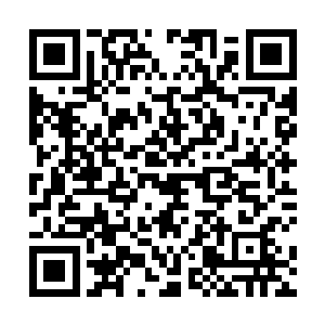 这其中除了三大神王和十二名统帅各自炼化的黑龙鳞外二维码生成