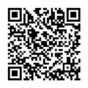 这其间每天都会有三到五名的集训人员从天而降二维码生成