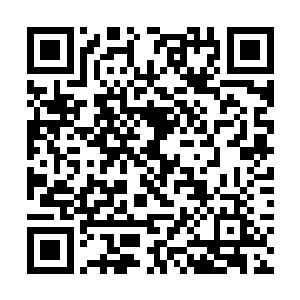 这具庞大的尸体居然开始以肉眼可见的速度迅速蒸发二维码生成