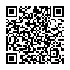 这冰雪在离着紫薇大帝分身法相有着一丈距离的时候二维码生成