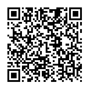 这几个尸王我一眼便能看出来是血尸门和魔尸门的长老级别的人物二维码生成