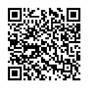 这几个月在这里的挣扎如今活的好像个原始人一般二维码生成