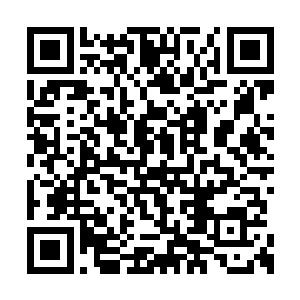 这几乎是所有修士们第一次看到界主和天神交手二维码生成