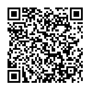 这几天为了锻炼他们对这烟的抵抗力了凌菲给他们所有人都闻过药二维码生成
