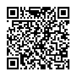 这几天从五律宗的深处时不时的能传来五律上尊的怒吼声二维码生成