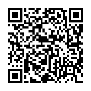 这几天他们这边的业务经理正在和我们商谈续保的事情呢二维码生成
