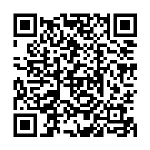 这几天苏落拉着南宫流云东奔西走的为洗白小神龙寻找证据二维码生成