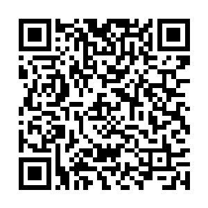 这几天龙傲天酿酒的时候见到这些酒于是也尝了尝二维码生成