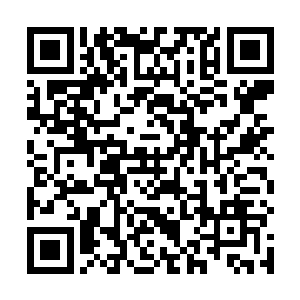 这刚刚凝聚出来的血神子似乎还并没有产生太多的灵智二维码生成