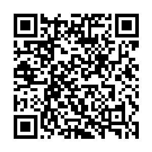 这剩下不足三百之数的金属性妖兽也纷纷突破了界限二维码生成
