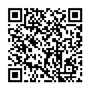 这单薄纤细的姑娘……竟然爆发出如此恐怖的力量二维码生成