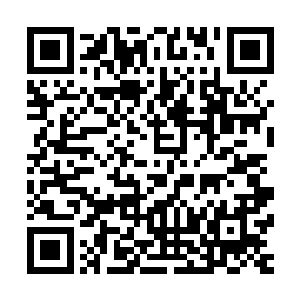 这原本似乎不堪一击的世界就好像是被某种力量给加固了一般二维码生成