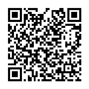 这台电脑预计将在三个月后正式完工并开始试运行二维码生成