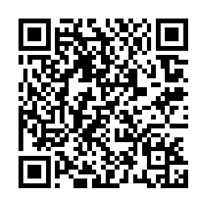 这回是一根木棒趁着他转头时候重重击打在王万余的手臂上二维码生成