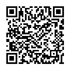 这回有好戏你不是说那个什么修罗家族很厉害么二维码生成