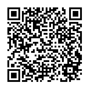 这团完全由蓝色晶体能量构成的蓝色海洋取代了原本细胞核的位置二维码生成