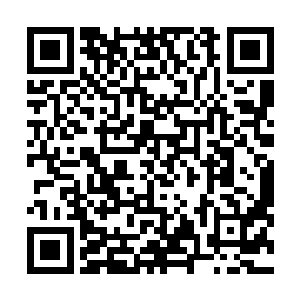 这块无暇灵石的出土就是在他们的脸上狠狠的扇了一巴掌二维码生成
