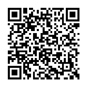 这家伙对斜眼王的忠心程度远远超过我们的想像二维码生成