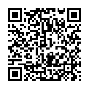 这家伙赫然是之前在苍南村见到过的那个巫师信使二维码生成