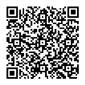 这对于全树地的投资环境改善和总体经济发展起到的效用更是无法用金钱来计算的二维码生成