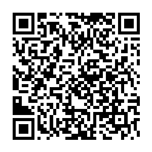这对师兄弟完全可以借助徐有容用强大行动力与魄力推出的万丈狂澜二维码生成