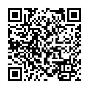 这对花一文钱都要精打细算的许老太太来说太奢侈二维码生成