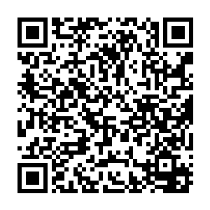 这小东西不是常常仗着自己个子小年纪小就到处卖萌让人送他东西吃吗二维码生成