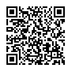 这小狗子便是一直帮着李鸾儿打听消息的小乞儿二维码生成