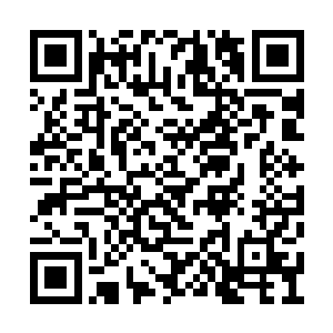 这就是大使馆对在海外国民待遇特别重视的原因二维码生成