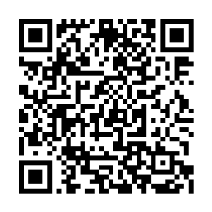 这就是荣耀至死取得进一步发展的重要组成部分二维码生成