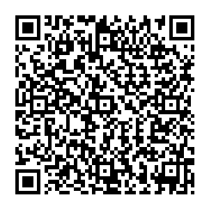 这就要求在接下来的工作中把涉及到这个项目开发的有关部门单位以及负责的人员拧成一股绳二维码生成