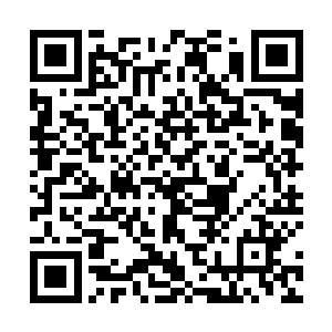 这差不多算是一名机甲战士用来保命的最终极的底牌了二维码生成