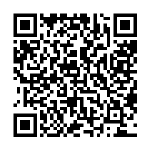 这帮家伙除了都是某个朝代最杰出最优秀的年轻名医之外二维码生成