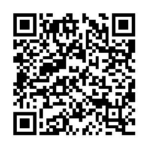 这干力士和仙女人等看到霍君白和这个道人在这里二维码生成