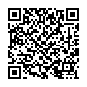 这应该就是这僵尸隐藏在里面不敢出来的原因了二维码生成