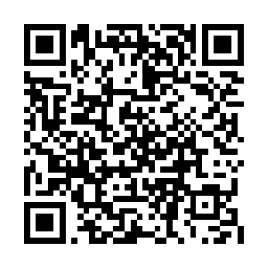 这应该是某个永夜一方的强者也进入了这方天地二维码生成