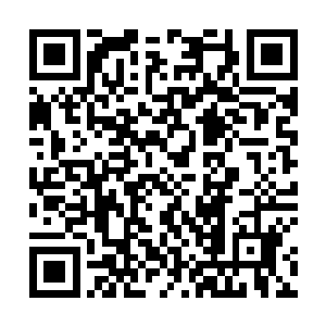 这得有多强的力量才能一拳把一只灵兽打扁了再飞出去二维码生成