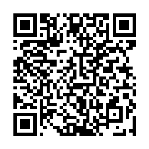 这恰到好处的计算充分表示了唐劫对这种雷珠的理解二维码生成