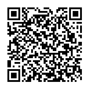 这才发现那死去的女孩尸体和乐家记载中柳清浅的尸体极其的相似二维码生成