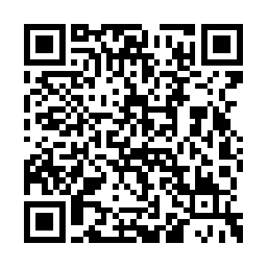 这才想起刚才情不自禁之下居然去握了她的玉手二维码生成