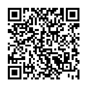 这才拿起徐涛专门打印好的相关资料认真翻阅了起来二维码生成