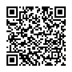 这才明白为什么初始领主会说两个世界的修炼体系不同了二维码生成
