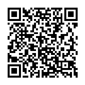 这支队伍的四个二级武侯就被雷天全部给废掉了二维码生成