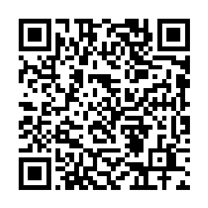 这方仙迹附属的世界确实没人能真正跨过第一层天梯二维码生成