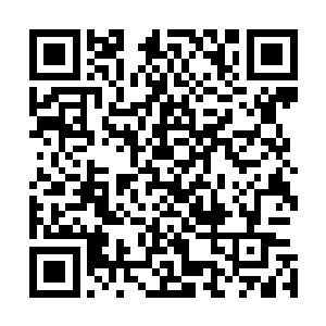 这时候　薛大宝得到了上级的命令　让他带着手下离开机场二维码生成