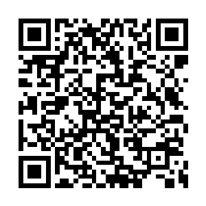 这时候我为了保持我在张雅姐姐心中的良好形象二维码生成