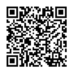 这时候鬣狗和巴克之间比较娴熟的配合能力就体现出来了二维码生成